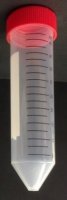 Centrifuge Tubes Conical-Bottom Plug, PP, 15 mL, Sterile, Cap Color: Red (QTY. 50 per Rack, 10 Racks per Case- 500 Tubes) Centrifuge Tubes Conical-Bottom Plug, PP, 15 mL, Sterile, Cap Color: Red (QTY. 50 per Rack, 10 Racks per Case- 500 Tubes)